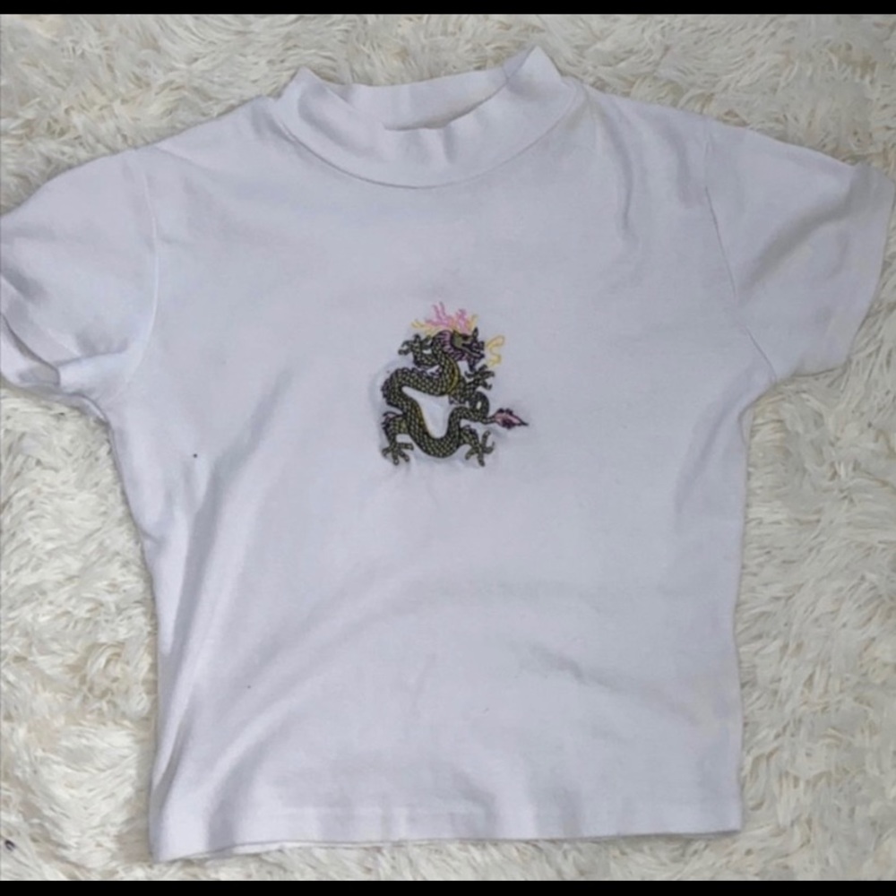 Brandy Melville dragon crop top